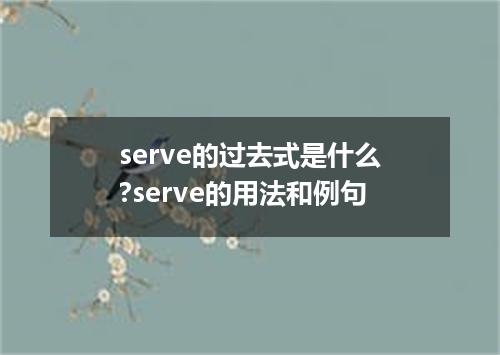 serve的过去式是什么?serve的用法和例句