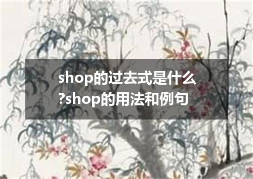 shop的过去式是什么?shop的用法和例句