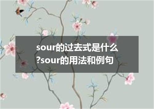 sour的过去式是什么?sour的用法和例句