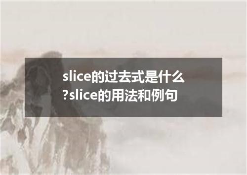 slice的过去式是什么?slice的用法和例句
