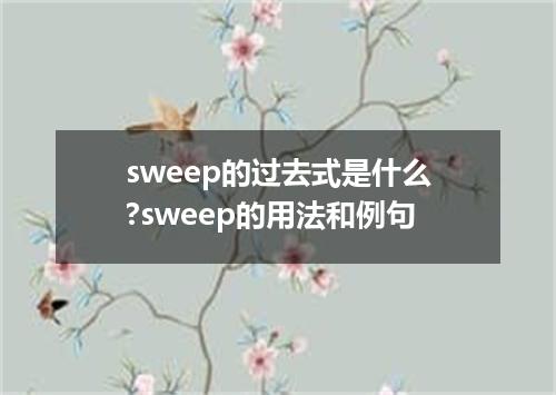 sweep的过去式是什么?sweep的用法和例句