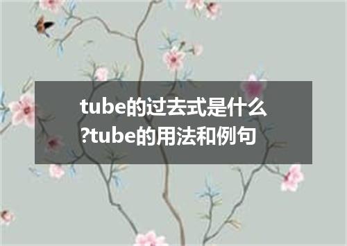 tube的过去式是什么?tube的用法和例句