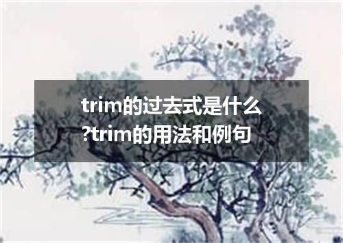 trim的过去式是什么?trim的用法和例句