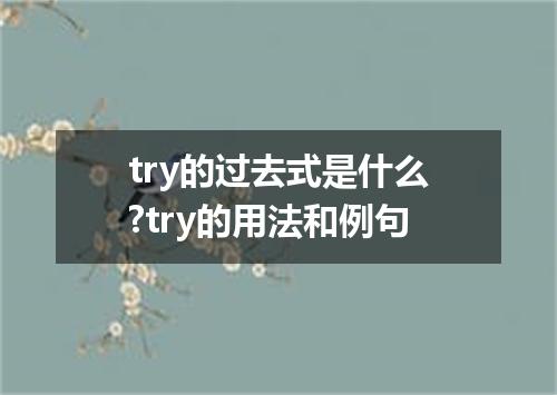 try的过去式是什么?try的用法和例句