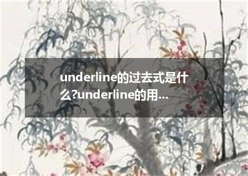 underline的过去式是什么?underline的用法和例句
