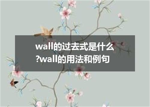 wall的过去式是什么?wall的用法和例句