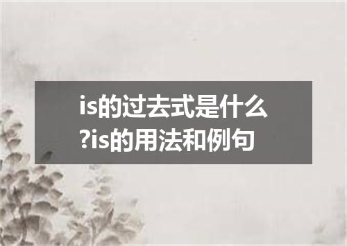 is的过去式是什么?is的用法和例句