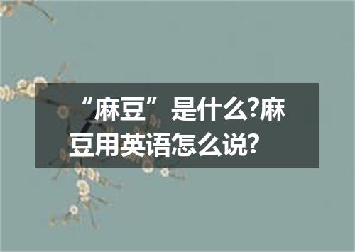 “麻豆”是什么?麻豆用英语怎么说?