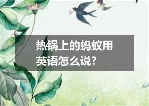 热锅上的蚂蚁用英语怎么说?