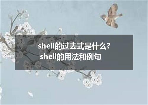 shell的过去式是什么? shell的用法和例句