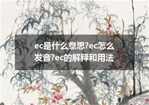 ec是什么意思?ec怎么发音?ec的解释和用法