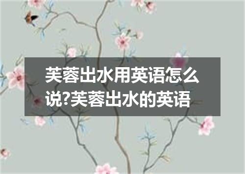 芙蓉出水用英语怎么说?芙蓉出水的英语
