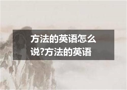 方法的英语怎么说?方法的英语