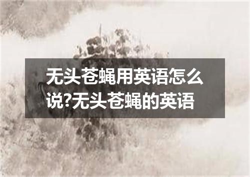 无头苍蝇用英语怎么说?无头苍蝇的英语