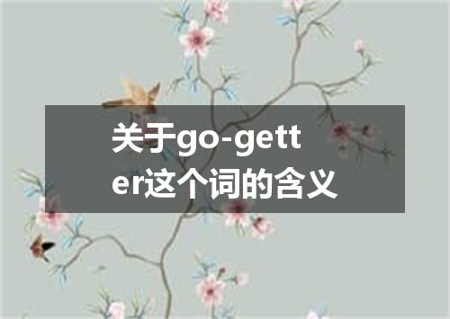 关于go-getter这个词的含义