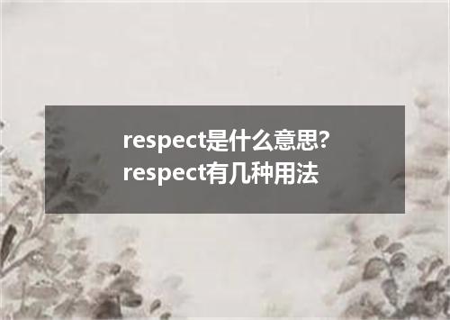 respect是什么意思?respect有几种用法