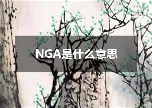NGA是什么意思