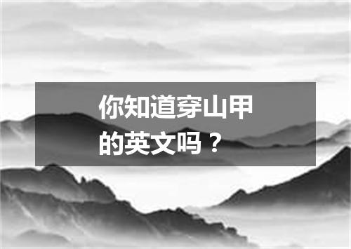 你知道穿山甲的英文吗?