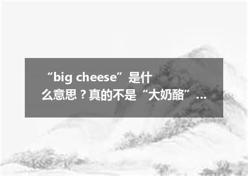 “big cheese”是什么意思?真的不是“大奶酪”…