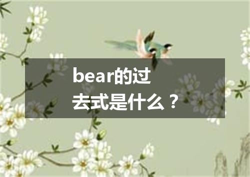 bear的过去式是什么?
