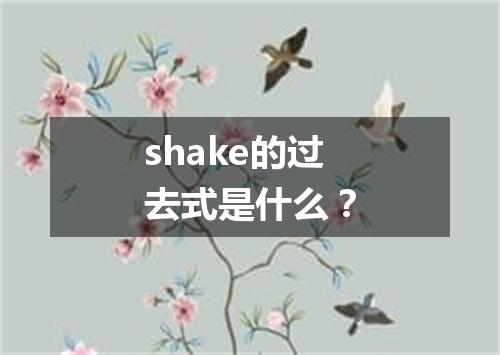 shake的过去式是什么?