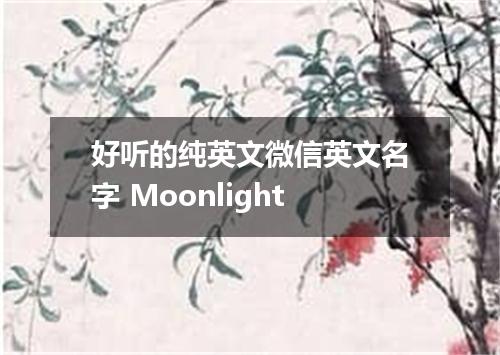 好听的纯英文微信英文名字 Moonlight