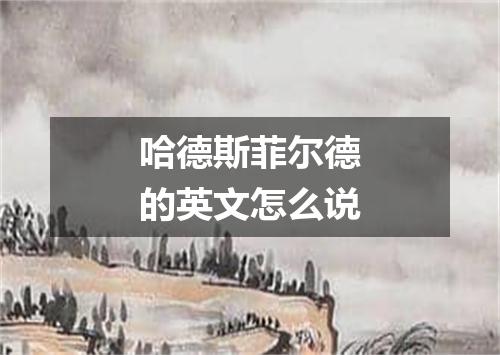 哈德斯菲尔德的英文怎么说