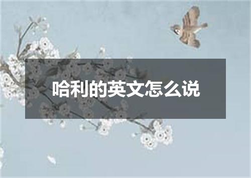 哈利的英文怎么说