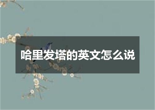 哈里发塔的英文怎么说