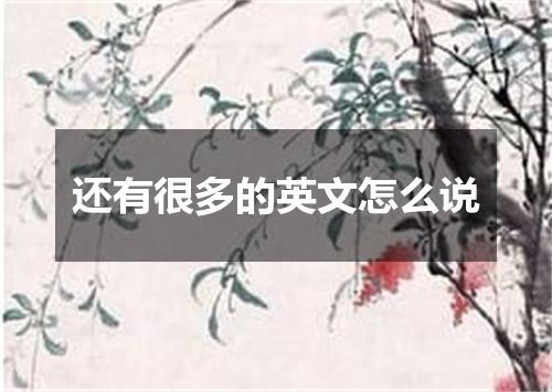还有很多的英文怎么说