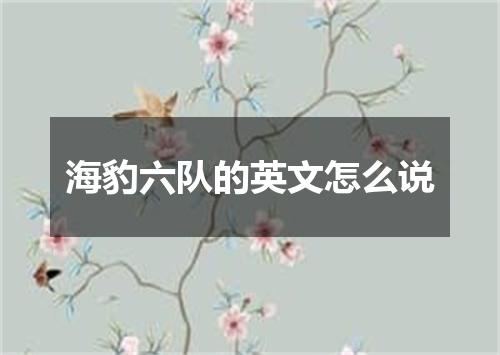 海豹六队的英文怎么说