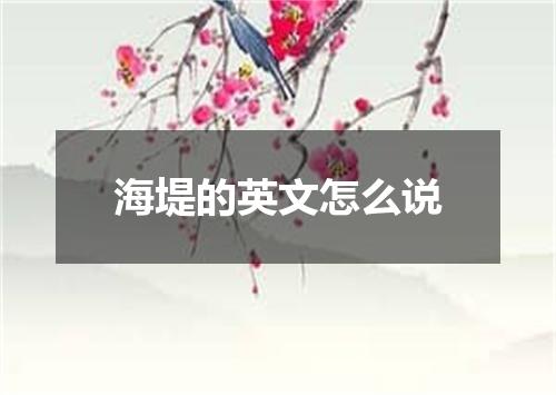海堤的英文怎么说