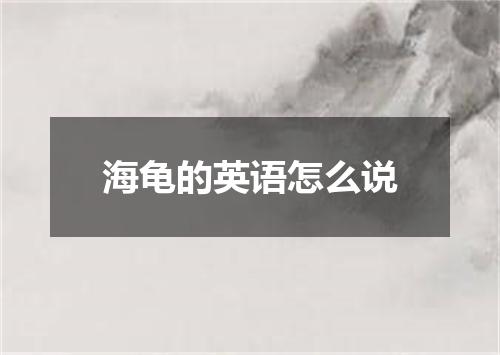 海龟的英语怎么说