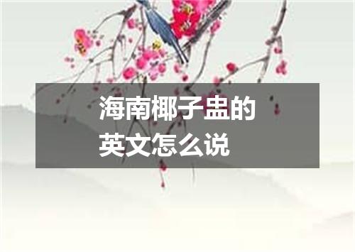 海南椰子盅的英文怎么说