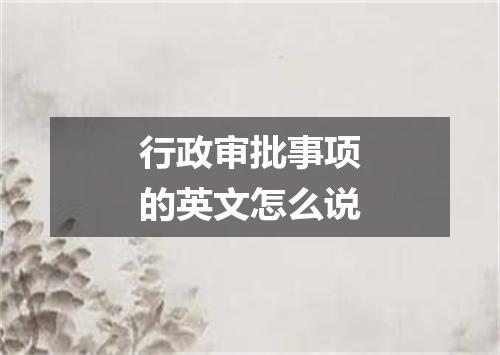行政审批事项的英文怎么说