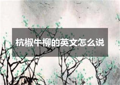 杭椒牛柳的英文怎么说