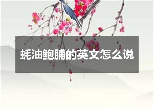 蚝油鲍脯的英文怎么说