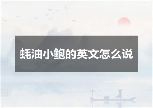 蚝油小鲍的英文怎么说