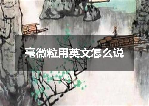 毫微粒用英文怎么说