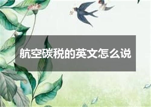 航空碳税的英文怎么说