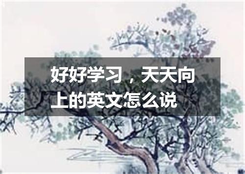 好好学习,天天向上的英文怎么说