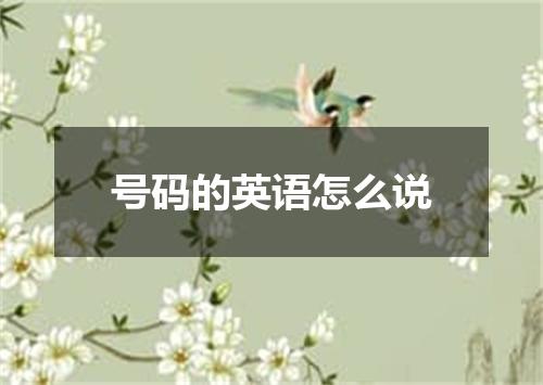 号码的英语怎么说