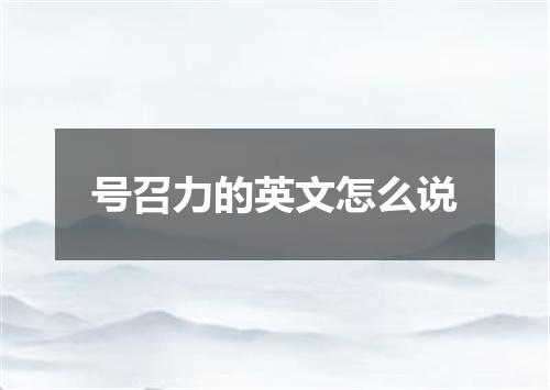 号召力的英文怎么说