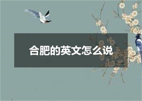 合肥的英文怎么说