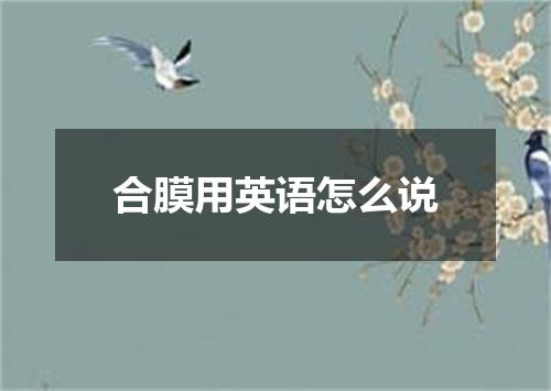 合膜用英语怎么说
