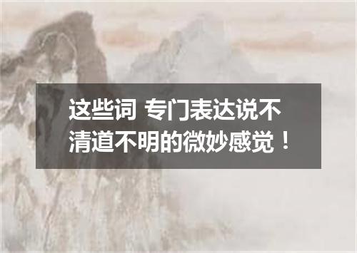 这些词 专门表达说不清道不明的微妙感觉!