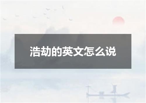 浩劫的英文怎么说