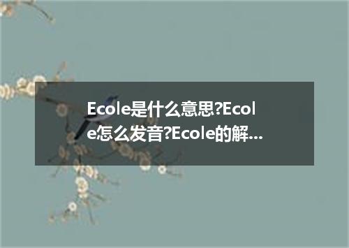 Ecole是什么意思?Ecole怎么发音?Ecole的解释和用法
