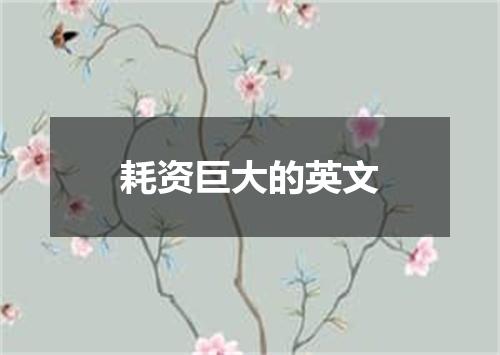 耗资巨大的英文