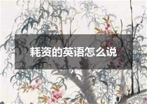 耗资的英语怎么说